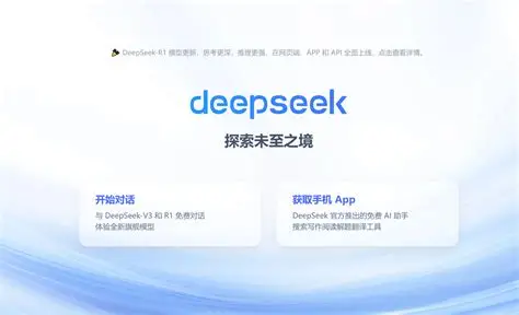 DeepSeek 设置面板截图
